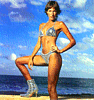 Dolores Trull